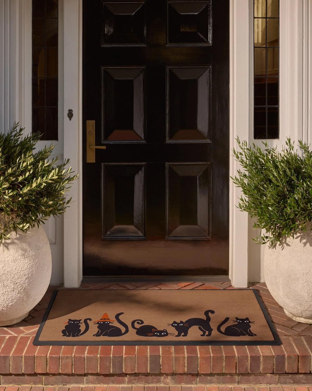 Whisker Mischief Coir Large Doormat Rug