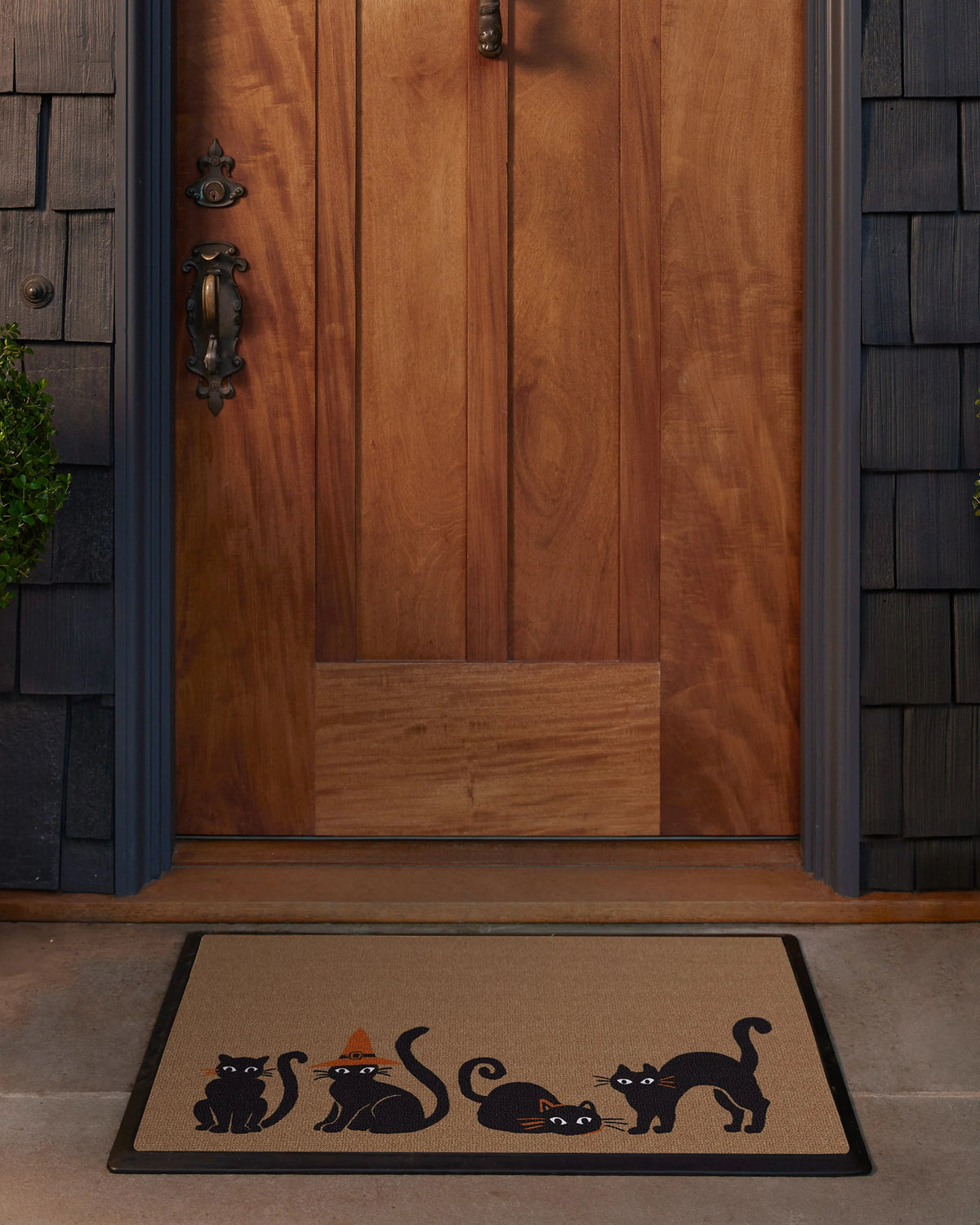 Whisker Mischief Coir Doormat